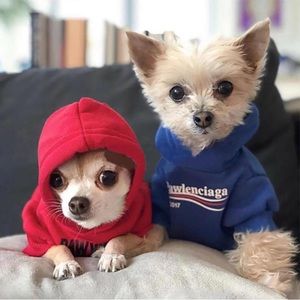 New Pawlenciaga Dog Hoodie